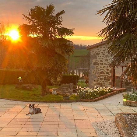Bed and Breakfast La Basse Monniere Sevremont Экстерьер фото