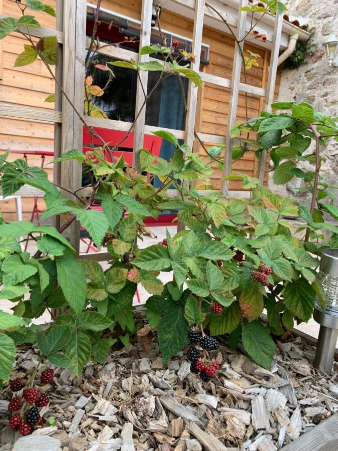 Bed and Breakfast La Basse Monniere Sevremont Экстерьер фото
